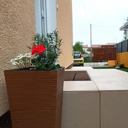 Apartman Sandra -Private Parking And Garden Ζαντάρ Εξωτερικό φωτογραφία