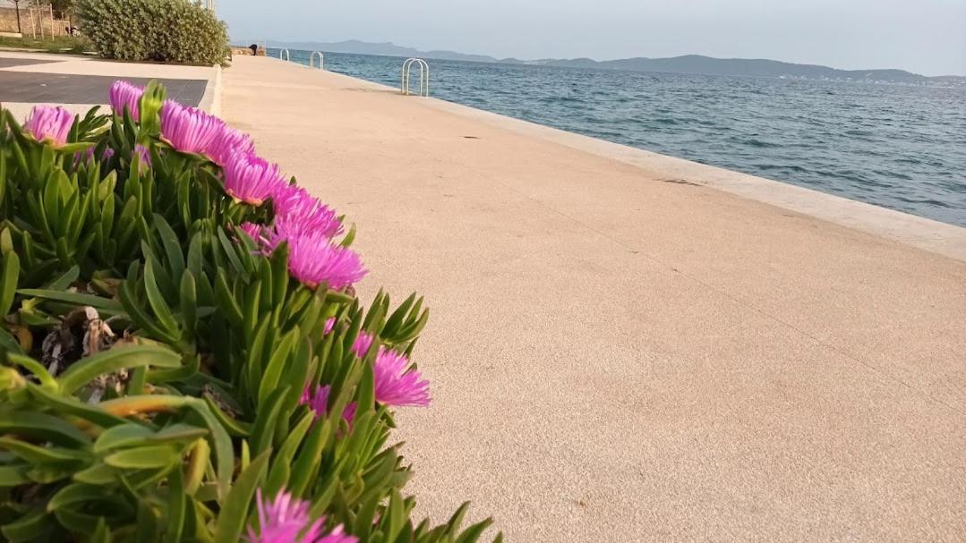 Apartman Sandra -Private Parking And Garden Ζαντάρ Εξωτερικό φωτογραφία