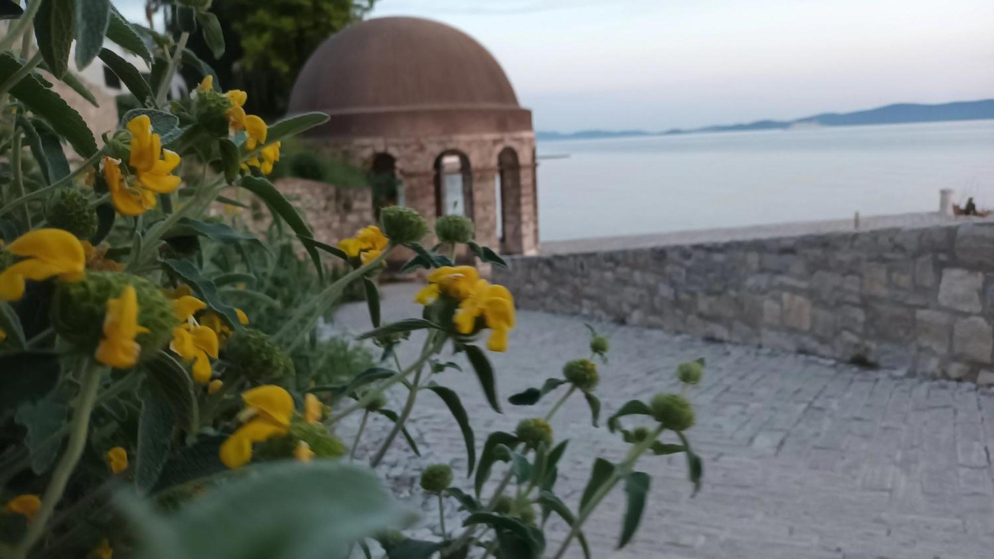 Apartman Sandra -Private Parking And Garden Ζαντάρ Εξωτερικό φωτογραφία